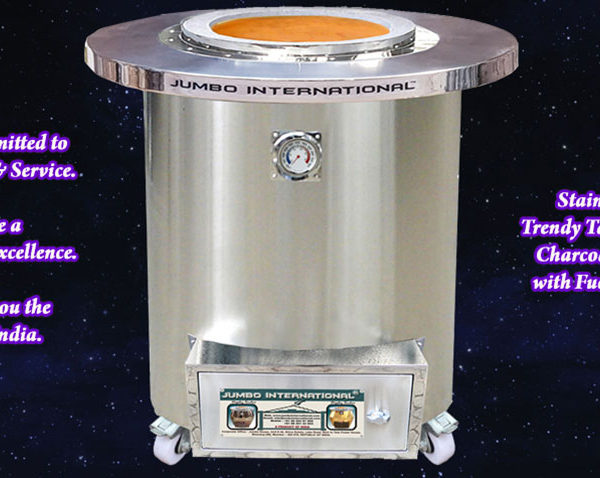 Stainless Steel Trendy Tandoor